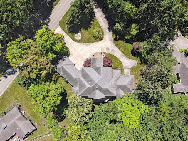 6076 Browns Lake Rd, Jackson, MI 49203 - aerial view