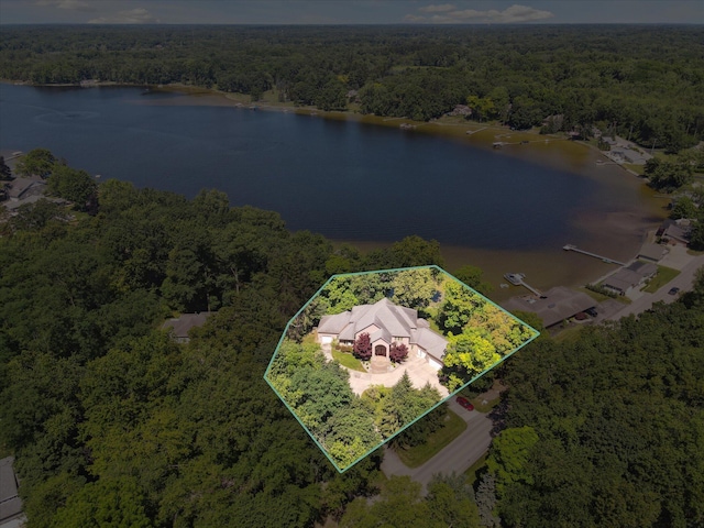 6076 Browns Lake Rd, Jackson, MI 49203 - view from above of property featuring a nearby body of water and property boundaries highlighted