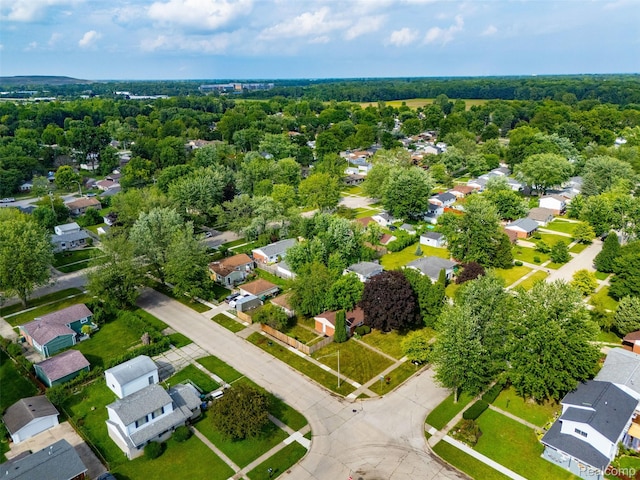 42078 Arthur St, Belleville, MI 48111 - aerial view of residential area