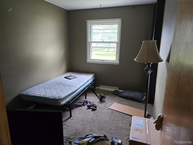 711 Moore St, Owosso, MI 48867 - photo 15