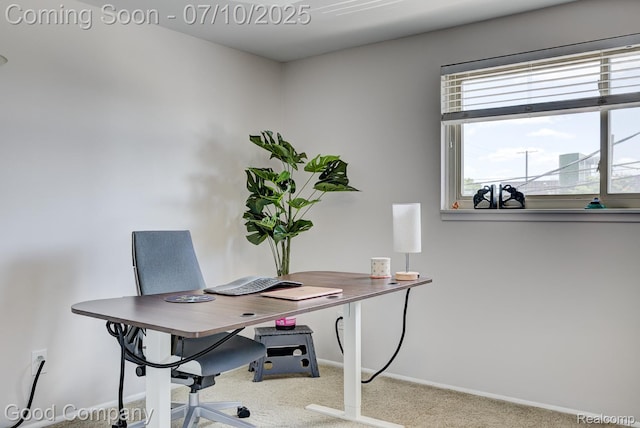 323 W Lincoln Ave, Royal Oak, MI 48067 - home office with carpet and baseboards