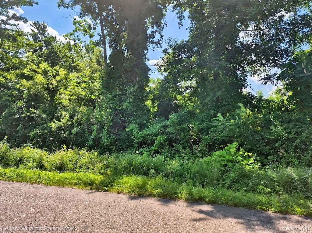 VACANT Bellman Ave, Shelby Twp, MI 48316