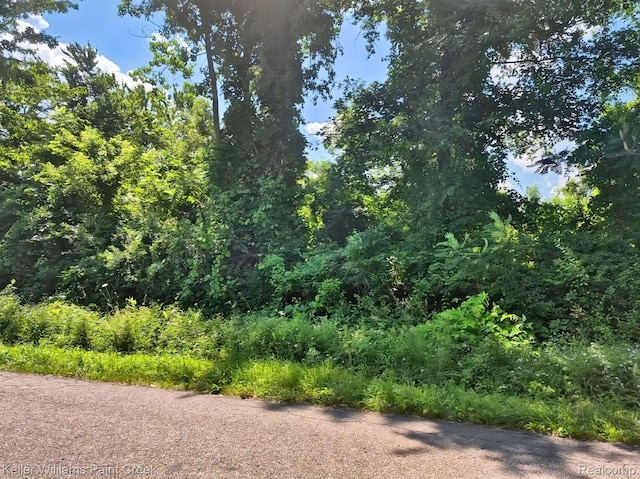 VACANT Bellman Ave, Shelby Twp, MI 48316