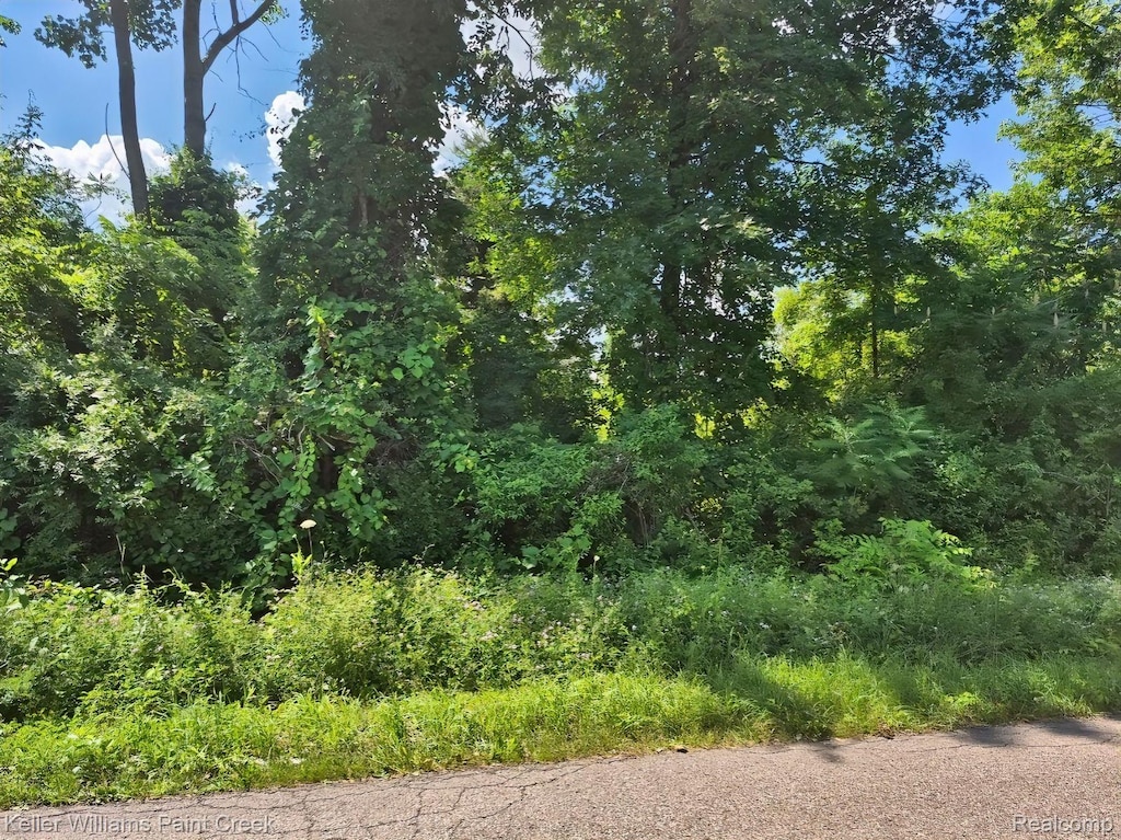 VACANT Bellman Ave, Shelby Twp, MI 48316