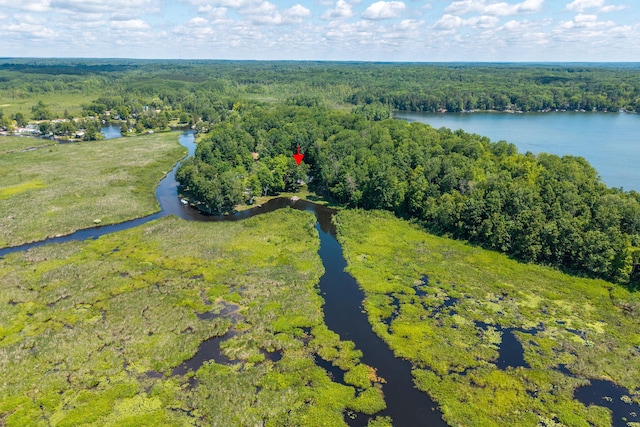 17648 Lost Lake Rd, Barryton, MI 49305 - drone / aerial view of a nearby body of water