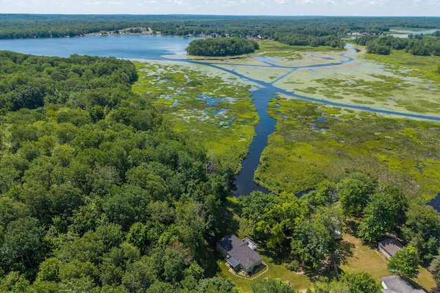 17648 Lost Lake Rd, Barryton, MI 49305 - drone / aerial view of a large body of water