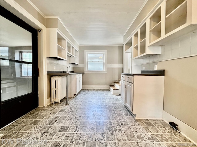 2109 Military St, Port Huron, MI 48060 - kitchen with open shelves, radiator heating unit, dark countertops, crown molding, and wainscoting