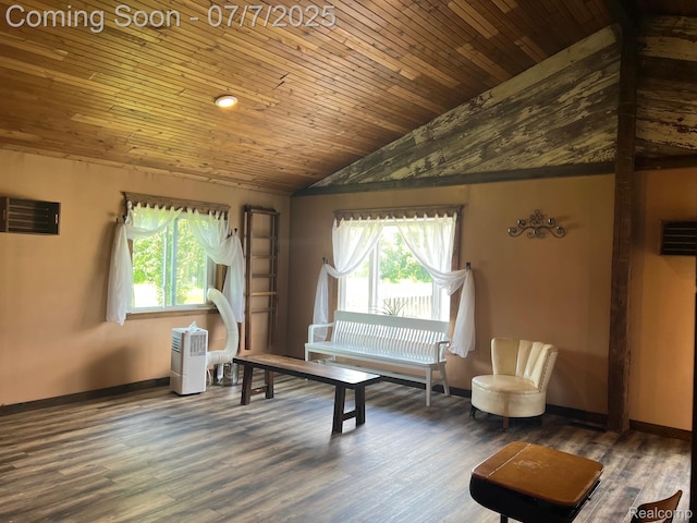 3500 Schlaud Rd, North Branch, MI 48461 - sitting room with healthy amount of natural light, wooden ceiling, lofted ceiling, and wood finished floors