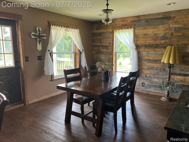 3500 Schlaud Rd, North Branch, MI 48461 - dining space featuring healthy amount of natural light, wood walls, and dark wood-style floors