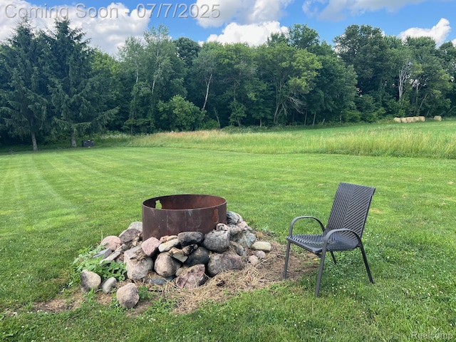 3500 Schlaud Rd, North Branch, MI 48461 - view of green lawn