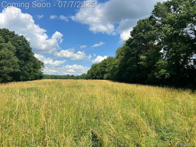 3500 Schlaud Rd, North Branch, MI 48461 - view of undeveloped land