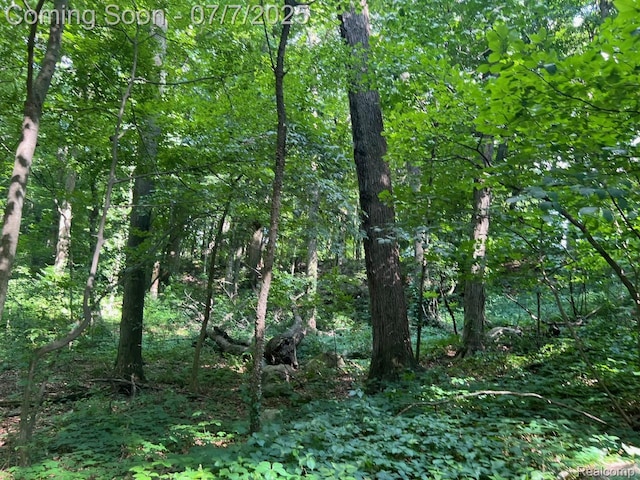 3500 Schlaud Rd, North Branch, MI 48461 - view of woods