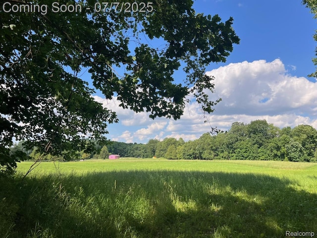 3500 Schlaud Rd, North Branch, MI 48461 - view of yard featuring a wooded view and a rural view