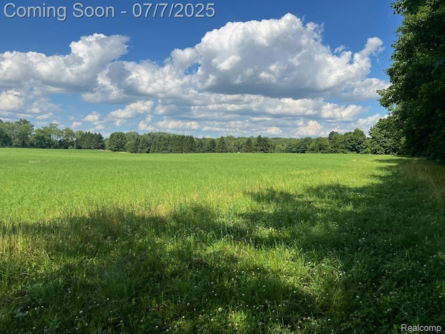 3500 Schlaud Rd, North Branch, MI 48461 - view of nature featuring rural landscape