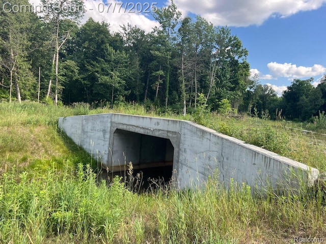 3500 Schlaud Rd, North Branch, MI 48461 - entry to storm shelter with a forest view