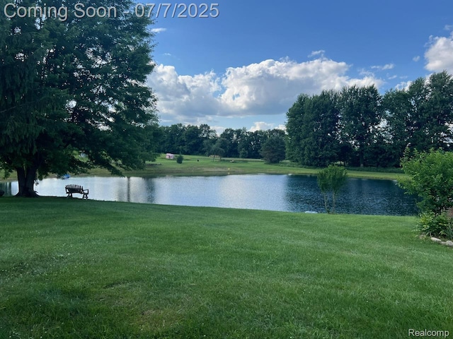 3500 Schlaud Rd, North Branch, MI 48461 - water view
