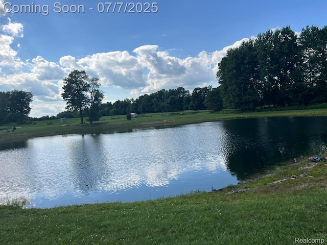 3500 Schlaud Rd, North Branch, MI 48461 - water view
