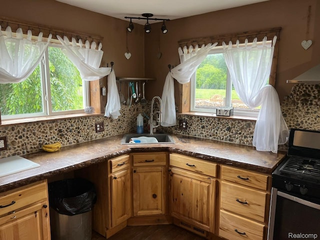 3500 Schlaud Rd, North Branch, MI 48461 - kitchen featuring stainless steel range with gas cooktop, tasteful backsplash, dark countertops, and dark wood-style floors