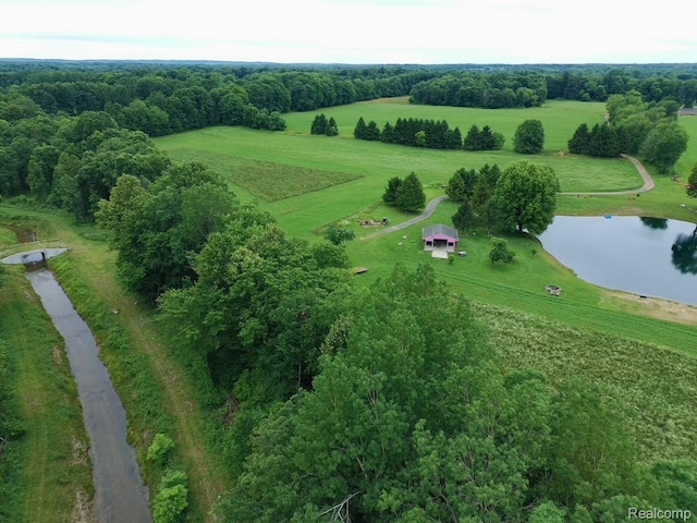 3500 Schlaud Rd, North Branch, MI 48461 - view of property location with a large body of water and rural landscape