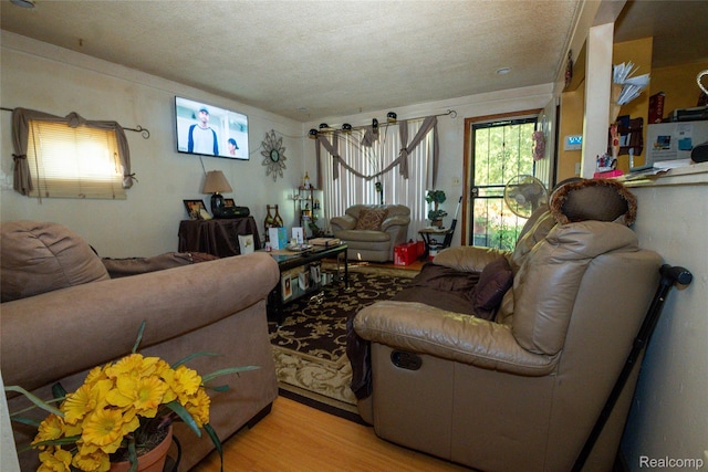 4315 Algonquin St, Detroit, MI 48215 - living room with light wood-type flooring and a textured ceiling