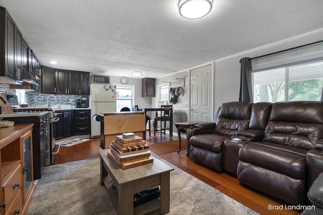 11982 Erica Ln Unit 39, Shelbyville, MI 49344 - living area with dark wood finished floors and a textured ceiling