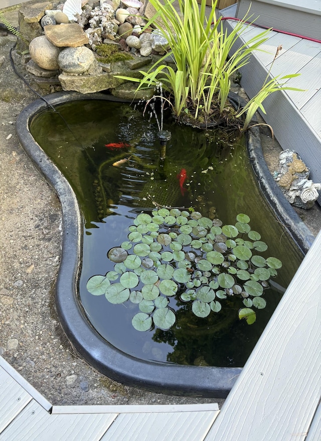 11982 Erica Ln Unit 39, Shelbyville, MI 49344 - exterior view of a small pond