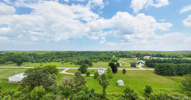 6550 Black River Rd, Croswell, MI 48422 - view of rural area featuring a heavily wooded area