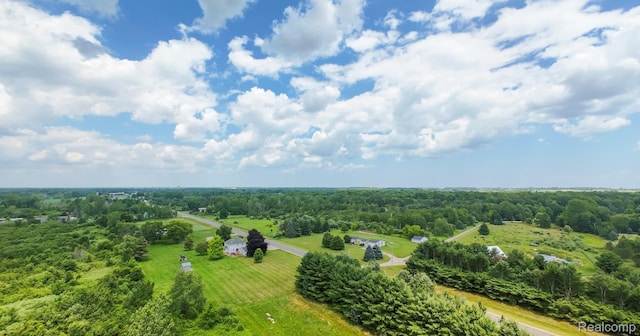 6550 Black River Rd, Croswell, MI 48422 - overview of rural landscape with a heavily wooded area