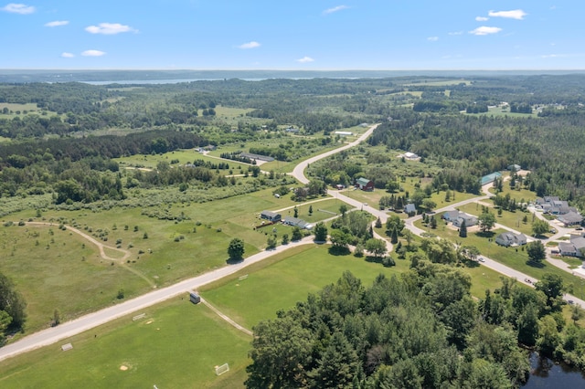 7241 Cherry Ave, Kewadin, MI 49648 - bird's eye view of a heavily wooded area