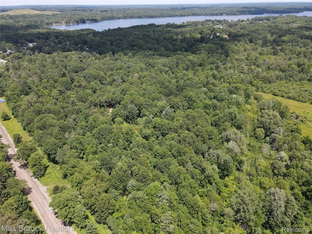 7132 N Oak Rd, Davison, MI 48423 - photo 11