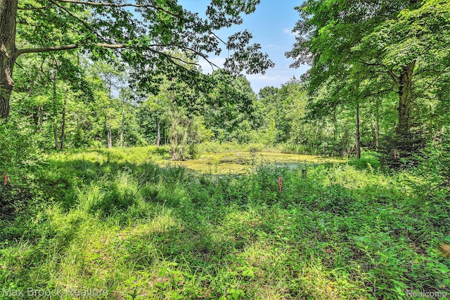 7132 N Oak Rd, Davison, MI 48423 - photo 4