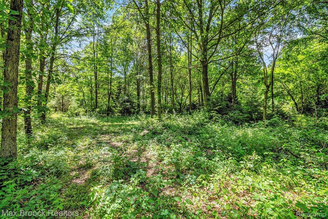 7132 N Oak Rd, Davison, MI 48423 - photo 6