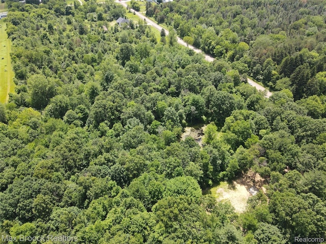 7132 N Oak Rd, Davison, MI 48423 - photo 9