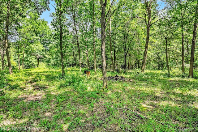 7132 N Oak Rd, Davison, MI 48423 - photo 3