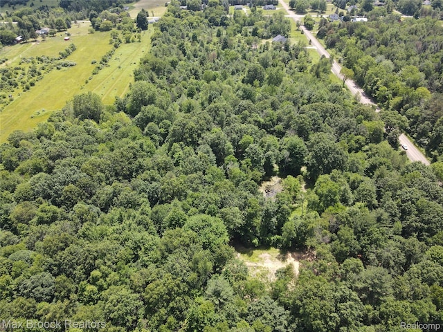 7132 N Oak Rd, Davison, MI 48423 - photo 10