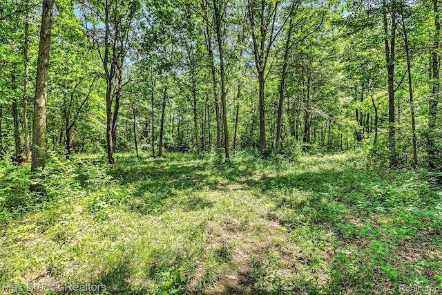 7132 N Oak Rd, Davison, MI 48423 - photo 2