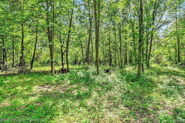 7132 N Oak Rd, Davison, MI 48423 - photo 5