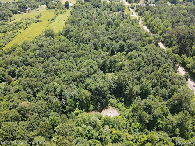7132 N Oak Rd, Davison, MI 48423 - photo 8