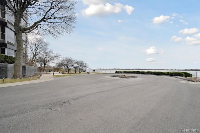 8200 E Jefferson # 1202, Detroit, MI 48214 - view of asphalt road