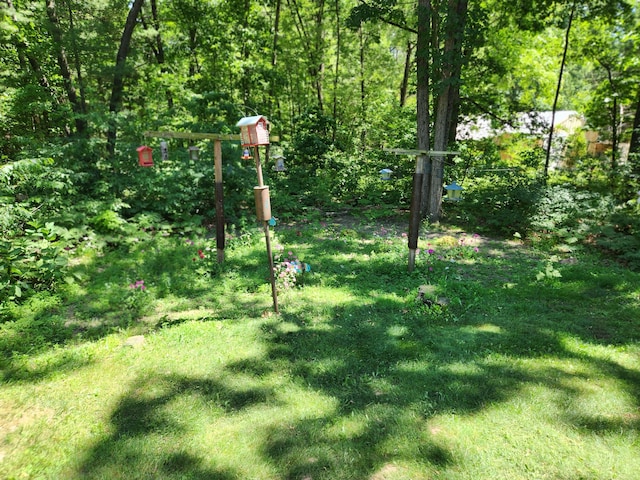 23967 Derek Dr, Sand Lake, MI 49343 - view of yard