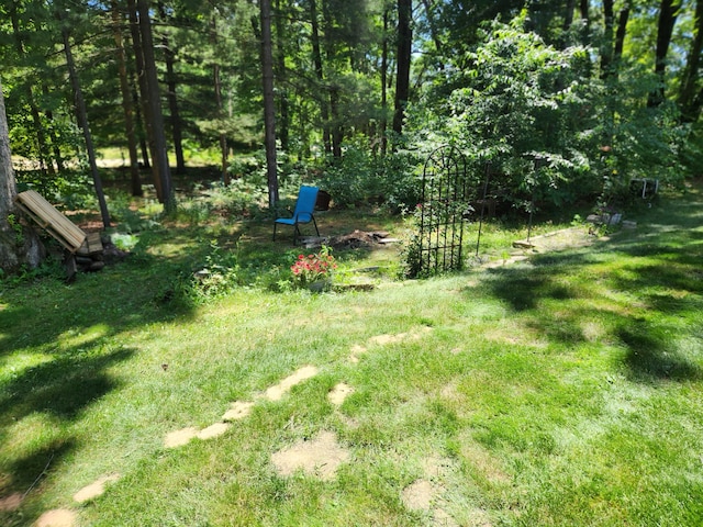 23967 Derek Dr, Sand Lake, MI 49343 - view of green lawn