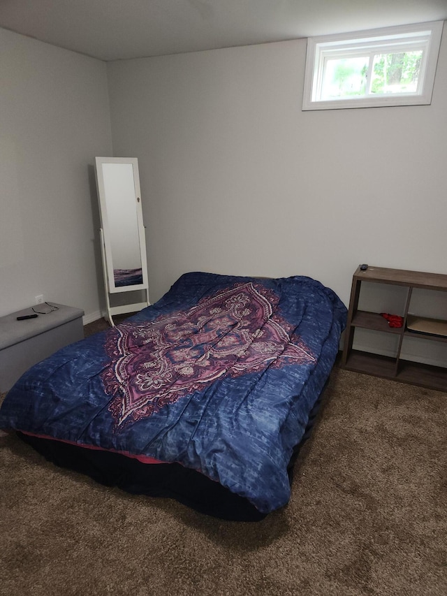 23967 Derek Dr, Sand Lake, MI 49343 - view of carpeted bedroom