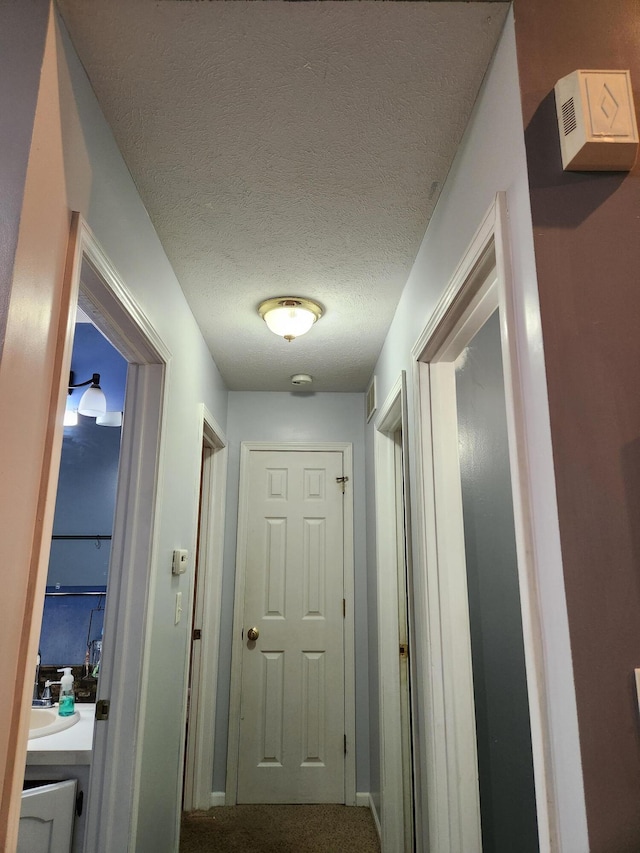23967 Derek Dr, Sand Lake, MI 49343 - corridor with a textured ceiling