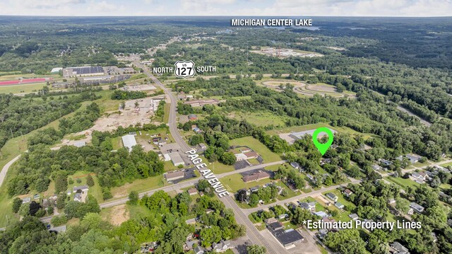 1196 S Dettman Rd, Jackson, MI 49203 - view of property location with a heavily wooded area