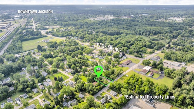 1196 S Dettman Rd, Jackson, MI 49203 - bird's eye view