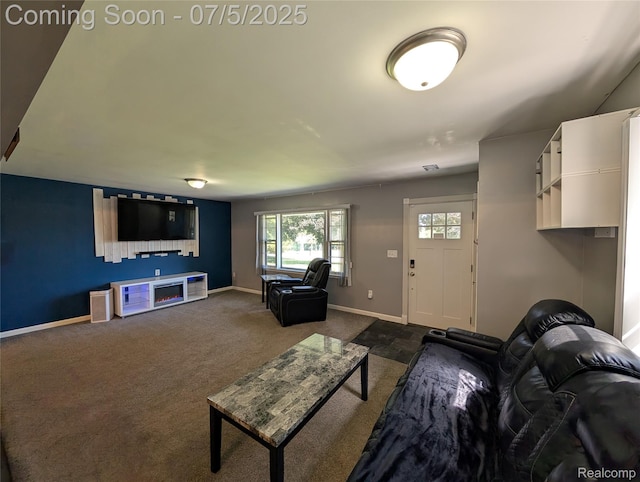 337 W Pine St, Elsie, MI 48831 - photo 11
