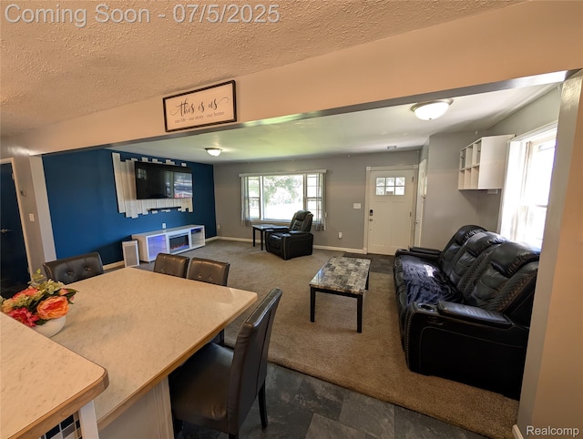 337 W Pine St, Elsie, MI 48831 - photo 12