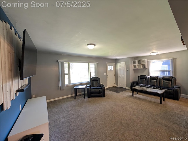 337 W Pine St, Elsie, MI 48831 - photo 10