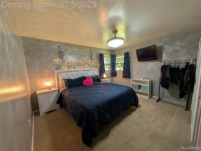 337 W Pine St, Elsie, MI 48831 - photo 19