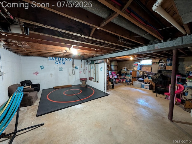337 W Pine St, Elsie, MI 48831 - photo 31